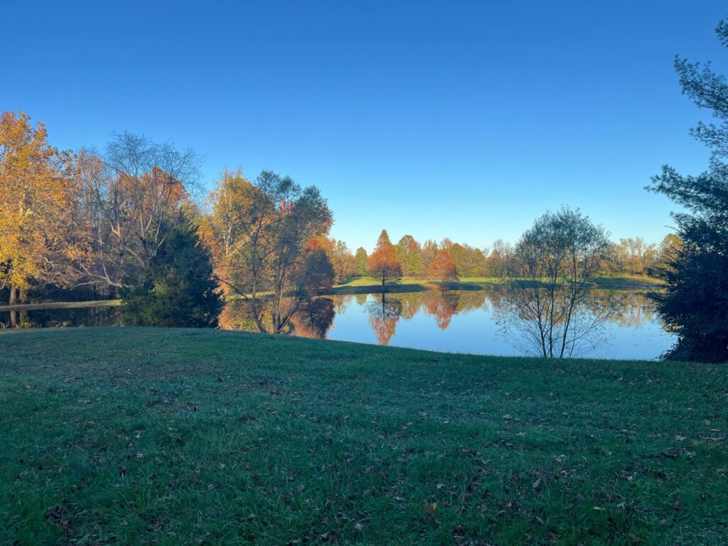 Fern Lake Campground - Lake View - Home Hero