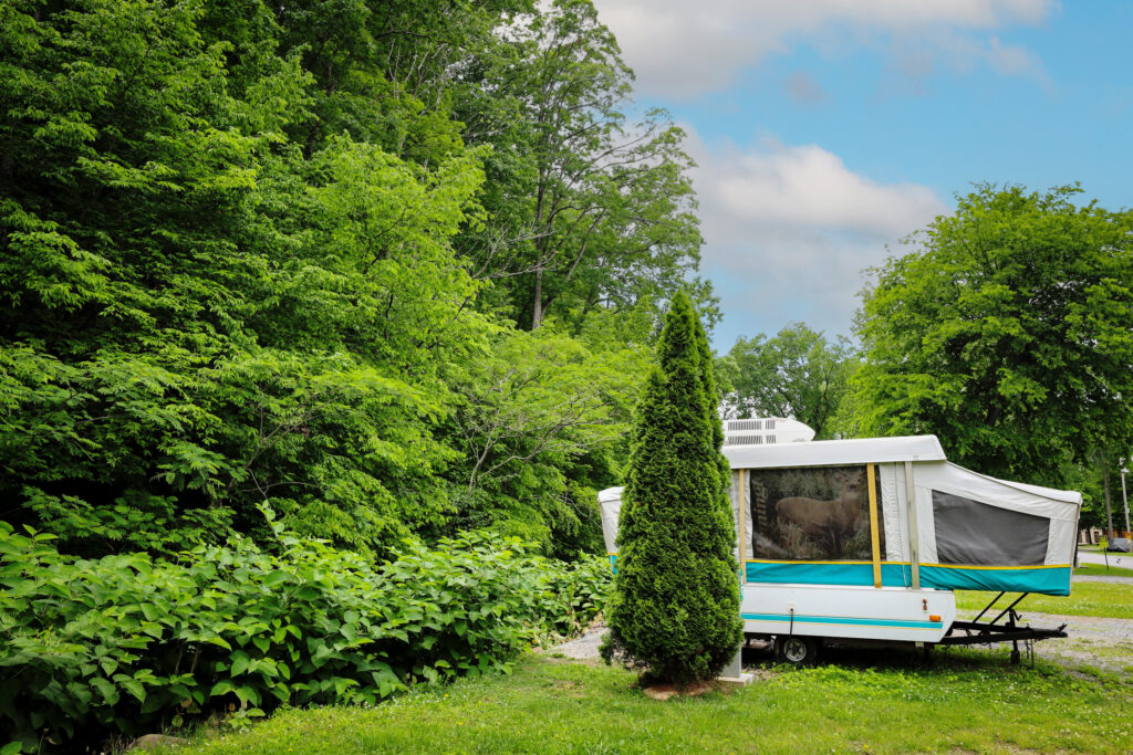 Tana-See Campground Ways to Stay